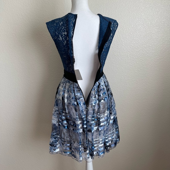 Sachin & Babi Noir tulle dress floral striped lace ballet zipper fit & flare - Picture 5 of 9